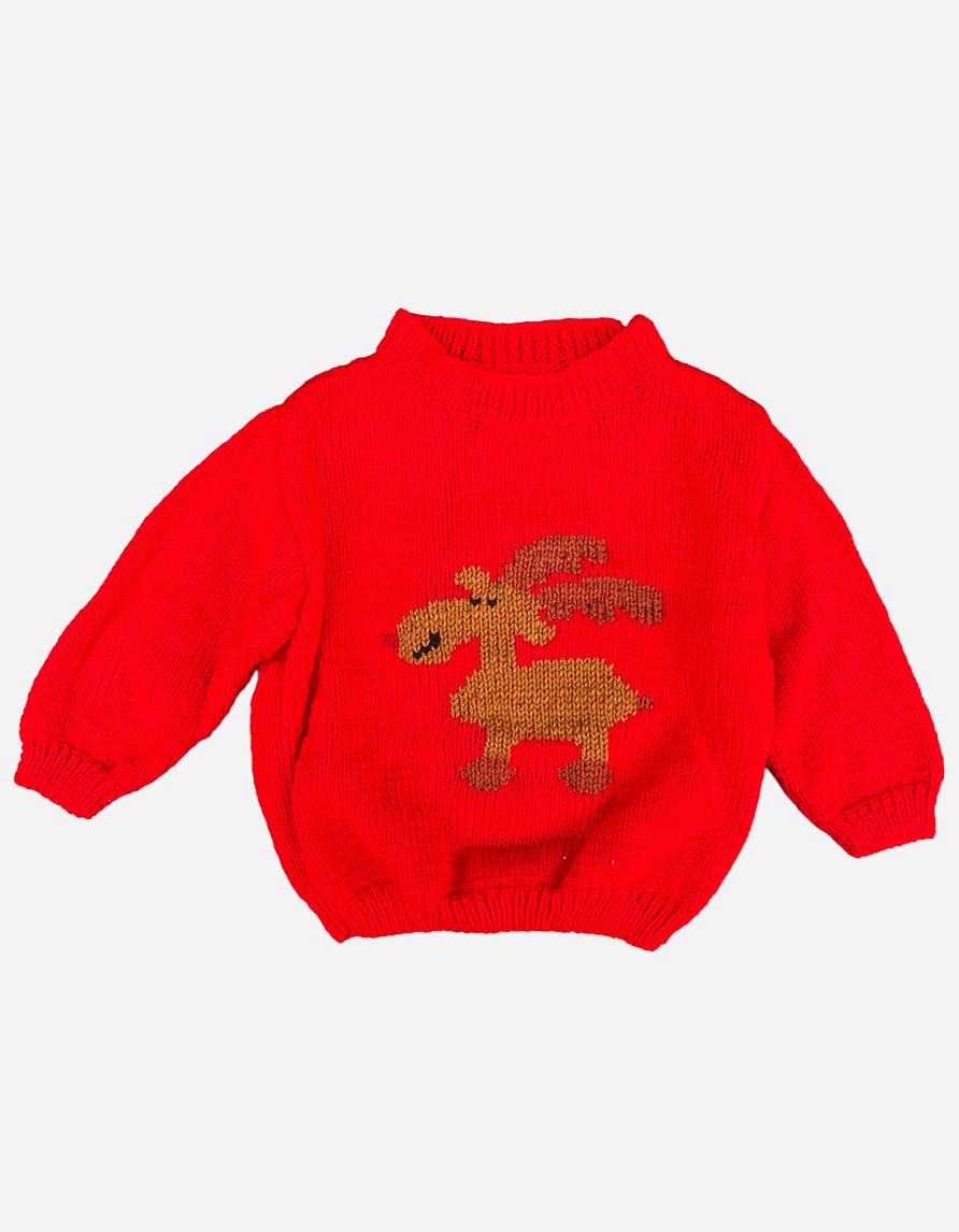 PULL ROUGE RENNE PROFIL 2 ANS